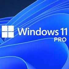 Windows 11 Pro logo representing Microsoft operating system licenses